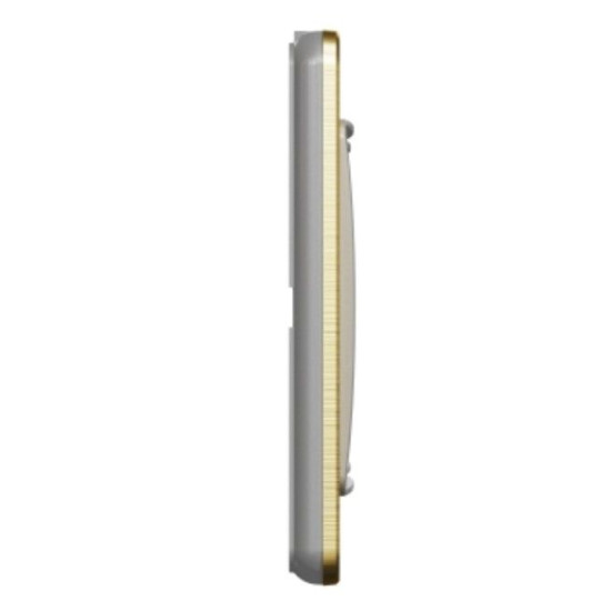 Двопостова рамка Schneider Electric Sedna Elements Sedna Elements матове золото SDD371802