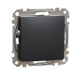 Заглушка Schneider Electric Sedna Design & Elements чорна SDD114904
