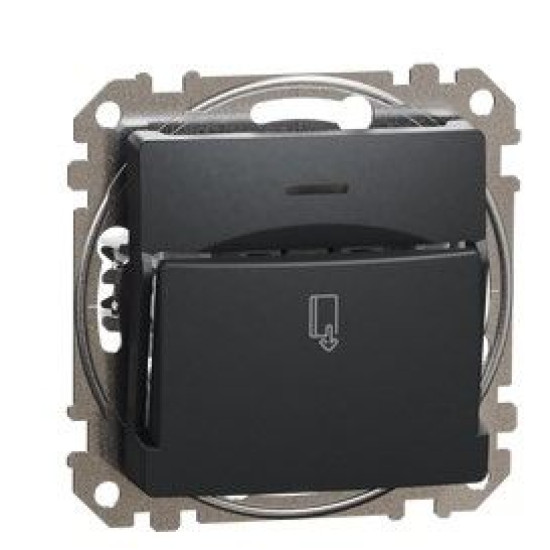 Картковий вимикач Schneider Electric Sedna Design & Elements чорний SDD114121