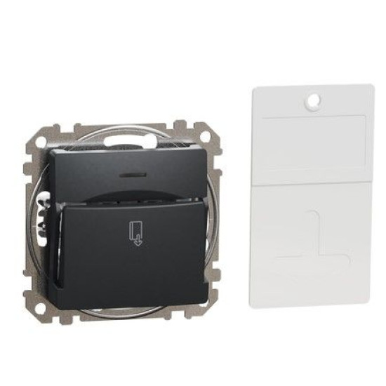 Картковий вимикач Schneider Electric Sedna Design & Elements чорний SDD114121