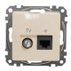Кінцева TV-розетка Schneider Electric Sedna Design & Elements та RJ45 кат. 6 UTP бежева SDD112469T