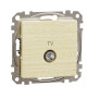 Кінцева TV-розетка 4 дБ Schneider Electric Sedna Design & Elements береза SDD180471