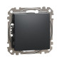 Кнопковий вимикач Schneider Electric Sedna Design & Elements чорний SDD114111