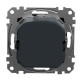 Поворотний світлорегулятор Schneider Electric Sedna Design & Elements RC 3-370 Вт чорний SDD114501