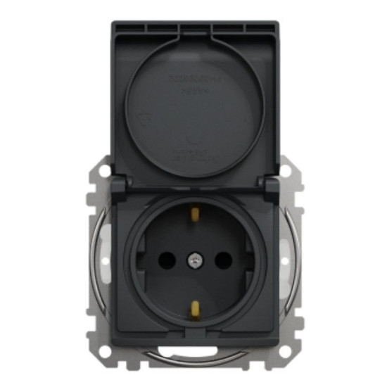 Розетка Schneider Electric Sedna Design & Elements з заземленням шторками та кришкою IP44 чорна SDD214024