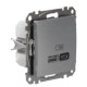 Розетка USB Schneider Electric Sedna Design & Elements A+C 3A 45Вт алюміній SDD113404