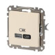 Розетка USB Schneider Electric Sedna Design & Elements A+C 3A 45Вт бежева SDD112404