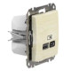 Розетка USB Schneider Electric Sedna Design & Elements A+C 3A 45Вт береза SDD180404