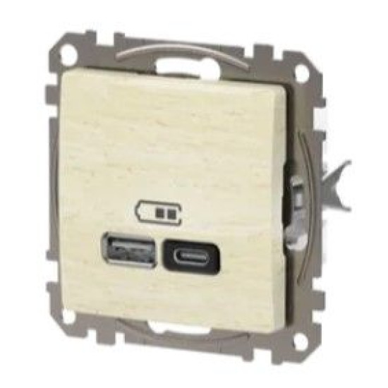 Розетка USB Schneider Electric Sedna Design & Elements A+C 3A 45Вт береза SDD180404