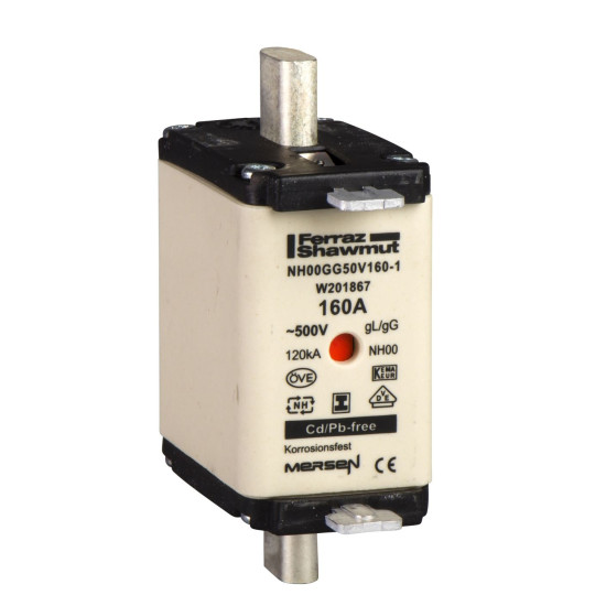 Запобіжник Schneider Electric DF2HN1251 1E GF 250A
