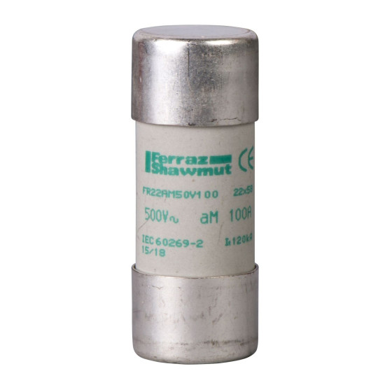 Запобіжник Schneider Electric DF2FA100 22х58 AM 100A