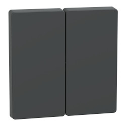 Подвійна клавіша Schneider Electric D-Life MTN3400-6034 антрацит