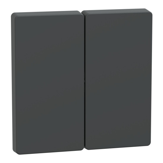 Подвійна клавіша Schneider Electric D-Life MTN3400-6034 антрацит