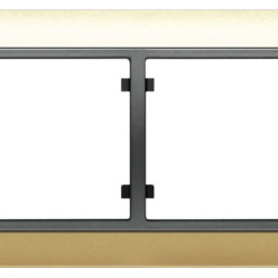 Подвійна рамка Siemens Mega S22002-DMC із вставкою (золото мальта)