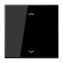 Кнопка вимикача Jung LS LS990PSW зі стрілками чорний