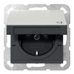 Розетка Gira System 55 з кришкою та шторками сталь (4414600)