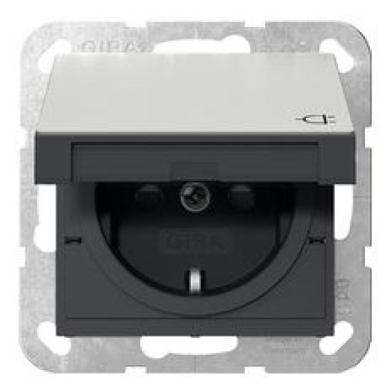 Розетка Gira System 55 з кришкою та шторками сталь (4414600)