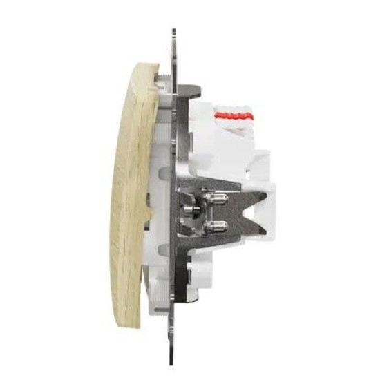 Кнопковий двоклавішний вимикач Schneider Electric Sedna Design & Elements береза SDD180118