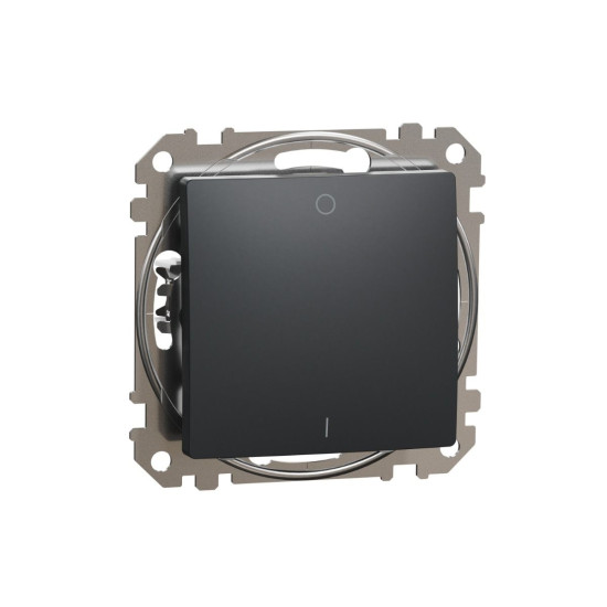 Двополюсний вимикач Schneider Electric Sedna Design & Elements чорний SDD114102