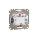 Двополюсний вимикач Schneider Electric Sedna Design & Elements матовий алюміній SDD170102