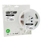 LED стрічка Eurolamp COB 480 діодів/м 24В 6500K 5 метрів
