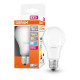 Лампа світлодіодна Osram LED CL A65 9Вт/840 12-36V FR E27 6х1