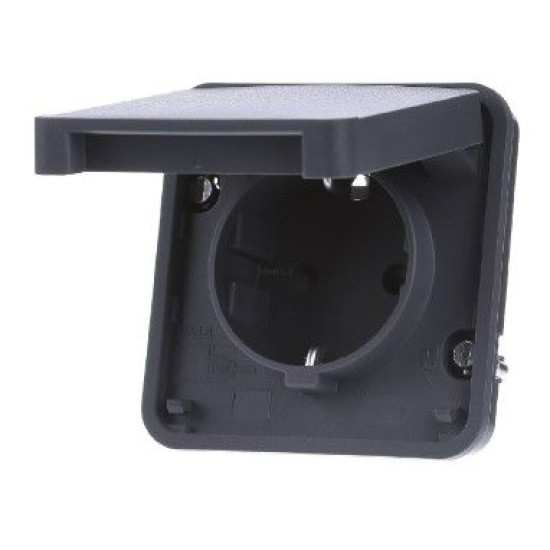 Розетка із з/к та кришкою Berker W.1 IP55