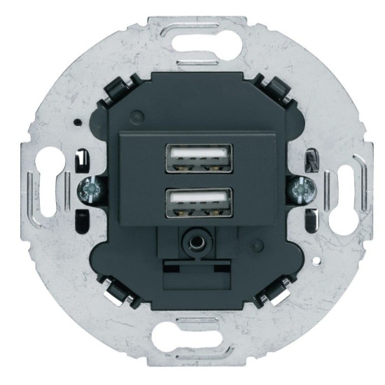 Подвійна USB розетка Berker 1930/Glas/R.classic 260215 чорна