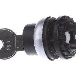 Перемикач Eaton Moeller 216887 M22-WRS із ключем IO
