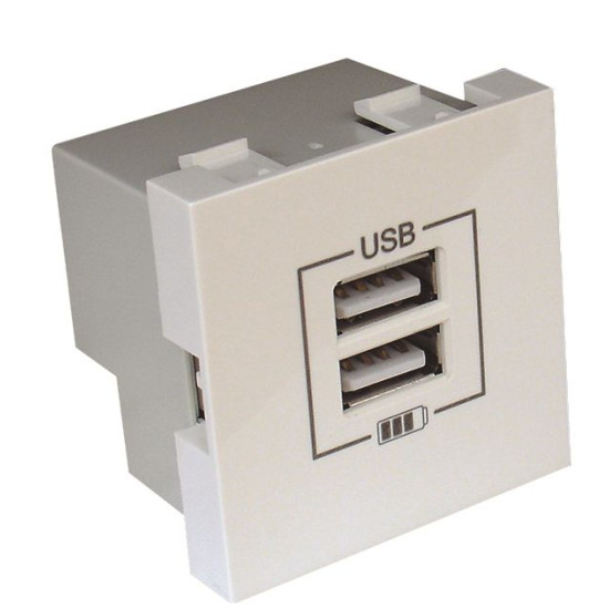 Механізм подвійної USB розетки Logus 45439 SBR CHARGER TYPE "A" (білий)