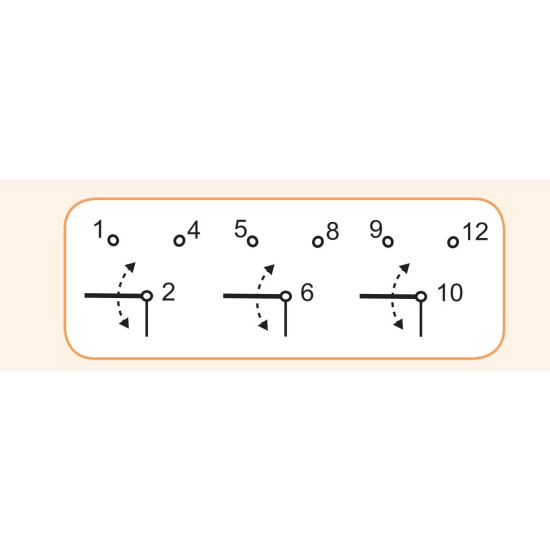 Кулачковий перемикач у корпусі ETI 004773213 CS 25 135 PN (3p «0-1-2» IP65 25A)