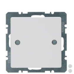 Заглушка Berker Qx 10096079 із центральною панеллю на гвинтах (полярна білизна)
