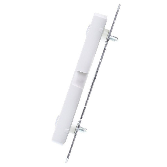 Заглушка Berker Qx 10096079 із центральною панеллю на гвинтах (полярна білизна)