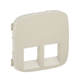 Панель розетки RJ11+RJ45 Legrand Valena Allure слонова кістка