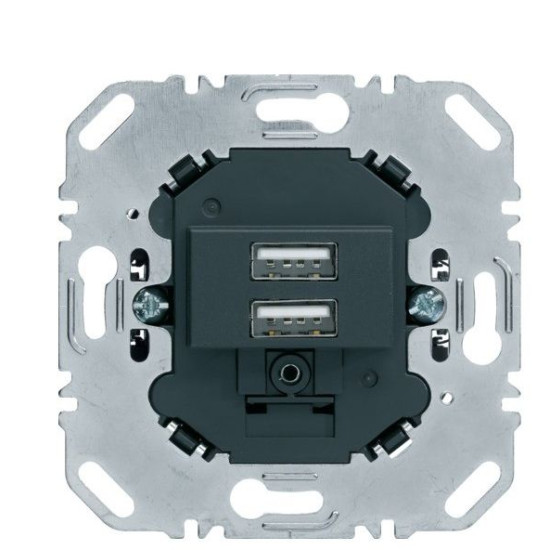 Подвійна USB розетка Berker 260205 (антрацит)