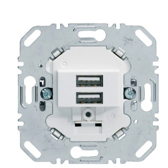 Подвійна USB розетка Berker 260209