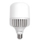 LED лампочка Eurolamp 40Вт E27 6500K