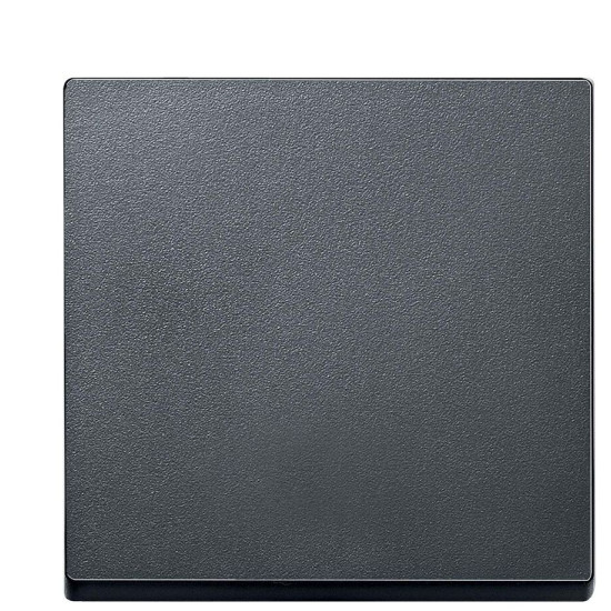 Клавіша вимикача SYSTEM M антрацит Merten, MTN433114