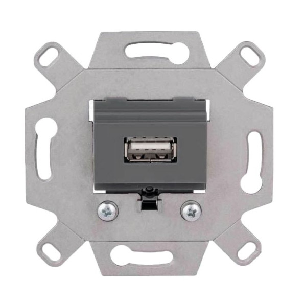 Розетка USB 2.0 Schneider Electric