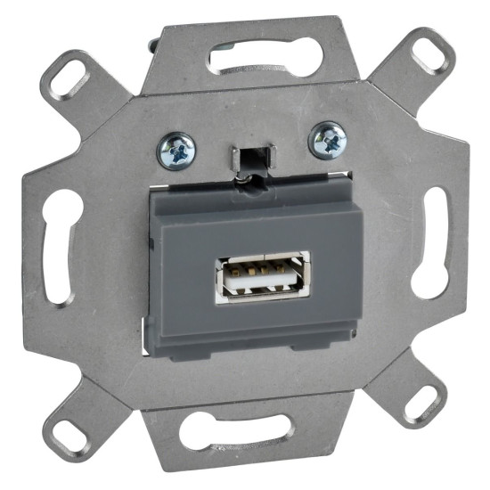 Розетка USB 2.0 Schneider Electric